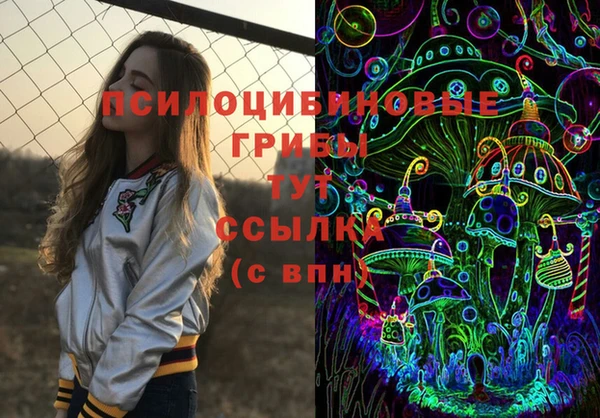 дурь Алзамай