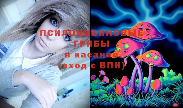 дурь Алзамай