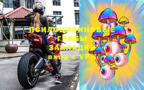 spice Алексин