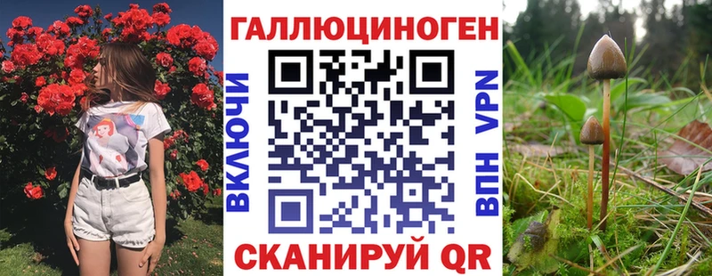 Псилоцибиновые грибы ЛСД  хочу наркоту  Алзамай 